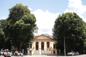 Leia mais sobre o artigo A valorização de árvores na Santa Casa reforça o ambiente verde da instituição em Belém