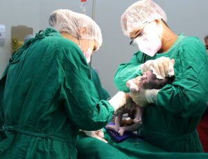 Leia mais sobre o artigo Dia do obstetra: Santa Casa tem mais de 200 médicos e enfermeiros para assistência a gestantes e puérperas